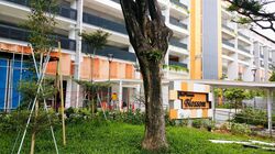 Macpherson Blossom (D13), Shop House #426191581